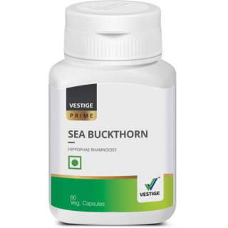 Sea Buckthorn Sea Buckthorn